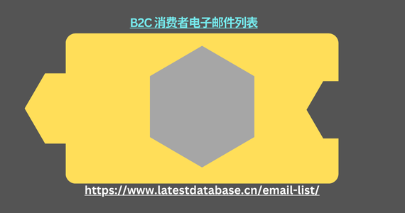 B2C 消费者电子邮件列表