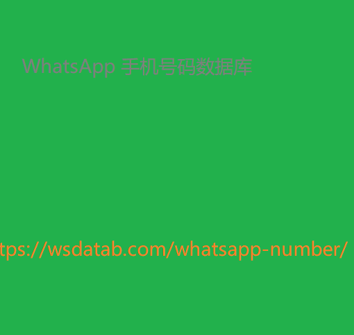 WhatsApp 手机号码数据库